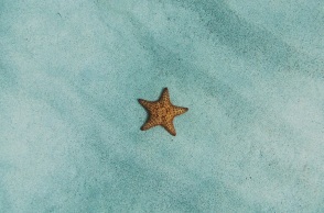 Εορτολόγιο: Σήμερα 1 Ιουνίου 2024 γιορτάζει…