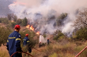 πυροσβεστες, φωτια, δασος