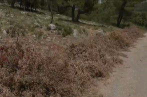 Καθαρισμός οικοπέδων και πυρκαγιά: Πότε εκπνέει η προθεσμία