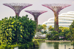 Σιγκαπούρη