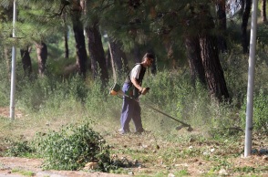 Ακαθάριστα οικόπεδα