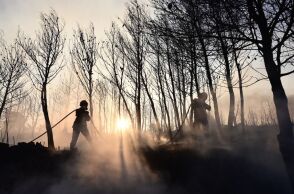 Σε επιφυλακή παραμένουν οι δυνάμεις της πυροσβεστικής στην Κερατέα 
