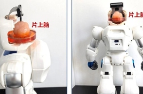 ρομποτ με εγκεφαλο