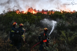 φωτια, δασος