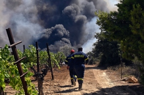 πυροσβεστες, φωτια, δεντρα