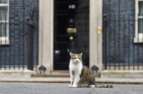 O Larry έξω από την Ντάουνινγκ Στριτ