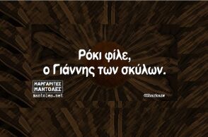 Αστεία memes, ατάκες, YOLO βίντεο, viral, αστεία video στο TikTok που ανέβηκαν στο διαδίκτυο και μας έκαναν να γελάσουμε.