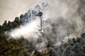 δασος, φωτια, καπνοι, αεροπλανο