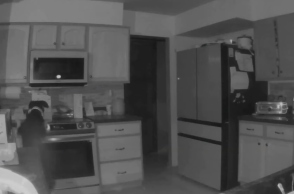 Σκύλος, κουζίνα