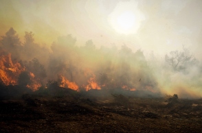 φωτια, δασος, βουνο