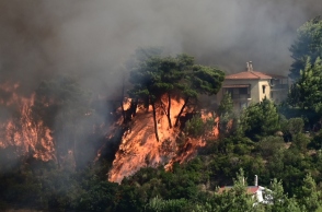 φωτια, δασος, βουνο