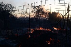 Πολλαπλές οι εστίες φωτιάς στην Αττική 