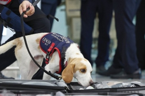 σκυλος μυριζει αποσκευες σε αεροδρομιο