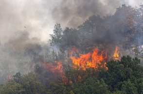 Τουρκία: Συνεχίζεται η μάχη στα πύρινα μέτωπα - Νέα εστία πυρκαγιάς στα Βουρλά της Σμύρνης