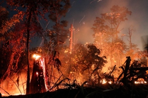 δασος που καιγεται