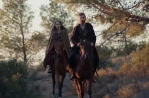 ανδρας, γυναικα, αλογα, δασος