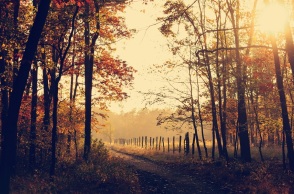 Εορτολόγιο: Σήμερα 24 Σεπτεμβρίου 2024 γιορτάζει…