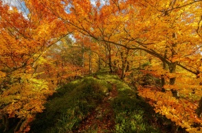 Εορτολόγιο: Σήμερα 25 Σεπτεμβρίου 2024 γιορτάζει…