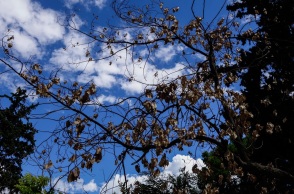 Ζεσταίνεται λίγο περισσότερο ο καιρός την Τετάρτη: Τους 31°C θα αγγίξει ο υδράργυρος