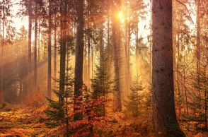 Εορτολόγιο: Σήμερα 29 Σεπτεμβρίου 2024 γιορτάζει…