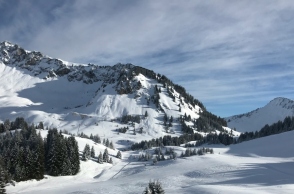 βουνο, χιονια, δεντρα