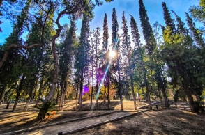 δασος, ηλιος, ουρανος, παρκο