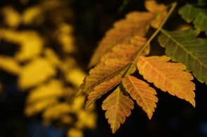 Άστατος ο καιρός το Σάββατο με ισχυρούς ανέμους στα πελάγη