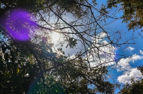 ουρανος, συννεφα, δεντρα