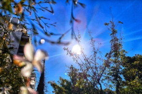 ουρανος, ηλιος, δεντρα