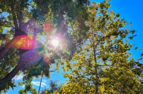 ουρανος, συννεφα, δεντρα