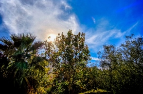 ουρανος, συννεφα, δεντρα