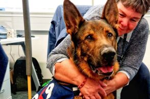 The Thin Blue Paw Foundation