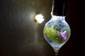 OnassisAiR στη Στέγη: όταν η τέχνη συναντά την τεχνολογία