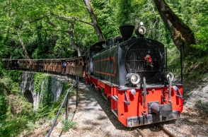 τρενο, βαγονια, δασος