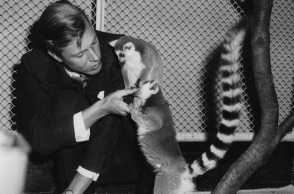 70 χρόνια «Sir» Ντέιβιντ Ατένμπορο, ο άνθρωπος που έφερε τη φύση «μέσα στα σπίτια»