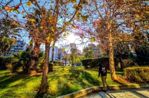 δεντρα, ουρανος, συννεφα, ηλιος