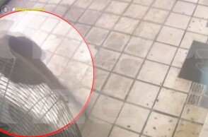 Εξαφάνιση στη Λάρισα: Πέντε μάρτυρες ισχυρίζονται πως είδαν τον 39χρονο στη Θεσσαλονίκη