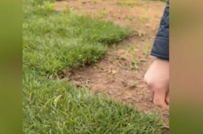 Έκλεψαν το γκαζόν από το δήμο Ελληνικού - «Ο ευρών αμειφθήσεται» λέει ο δήμαρχος