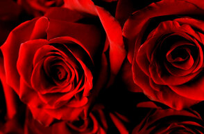 Τα λουλούδια του έρωτα για του Αγίου Βαλεντίνου