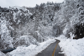 χιονια, δρομος, δεντρα