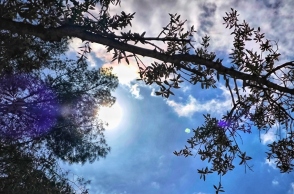 ηλιος, ουρανος, δεντρα