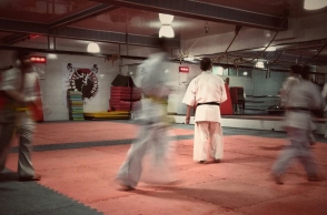 αθλητες πολεμικων τεχνων