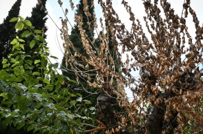 Ατμοσφαιρική ρύπανση: Οι πιο μολυσμένες περιοχές στην Ελλάδα για το 2024