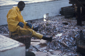 Η βιώσιμη αλιεία και η μάχη για το μέλλον των Ωκεανών