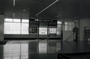 Φλόριντα: Έπνιξε το σκυλάκι της σε τουαλέτα αεροδρόμιου όταν της είπαν ότι δεν μπορεί να το πάρει μαζί της 