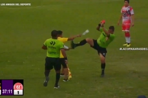 διαιτητης κλωτσαει προπονητη