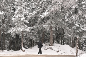 χιονια, πεζος, δεντρα