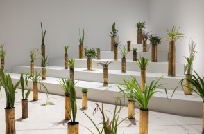 Σάμι Μπαλότζι: Απόηχοι της ιστορίας, σκιές της προόδου στο ΕΜΣΤ