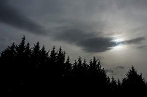 συνεφφα, ουρανος, δεντρα