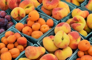 Ισπανία: Τα σχολεία υποχρεούνται να σερβίρουν φρούτα, λαχανικά και ψάρι